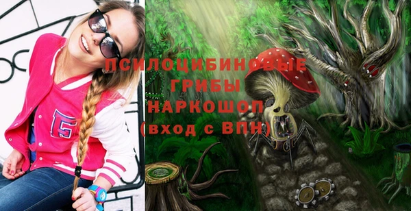 метадон Алексеевка