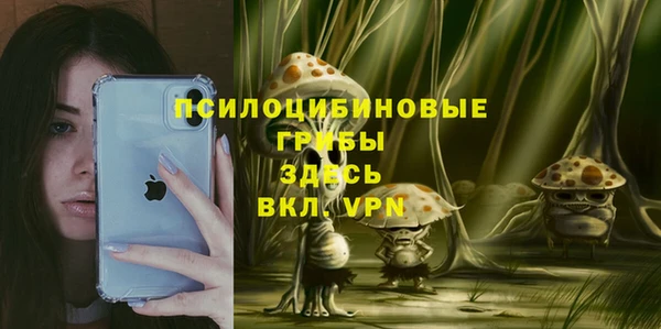метадон Алексеевка