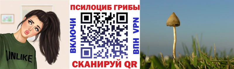 Псилоцибиновые грибы ЛСД Ступино